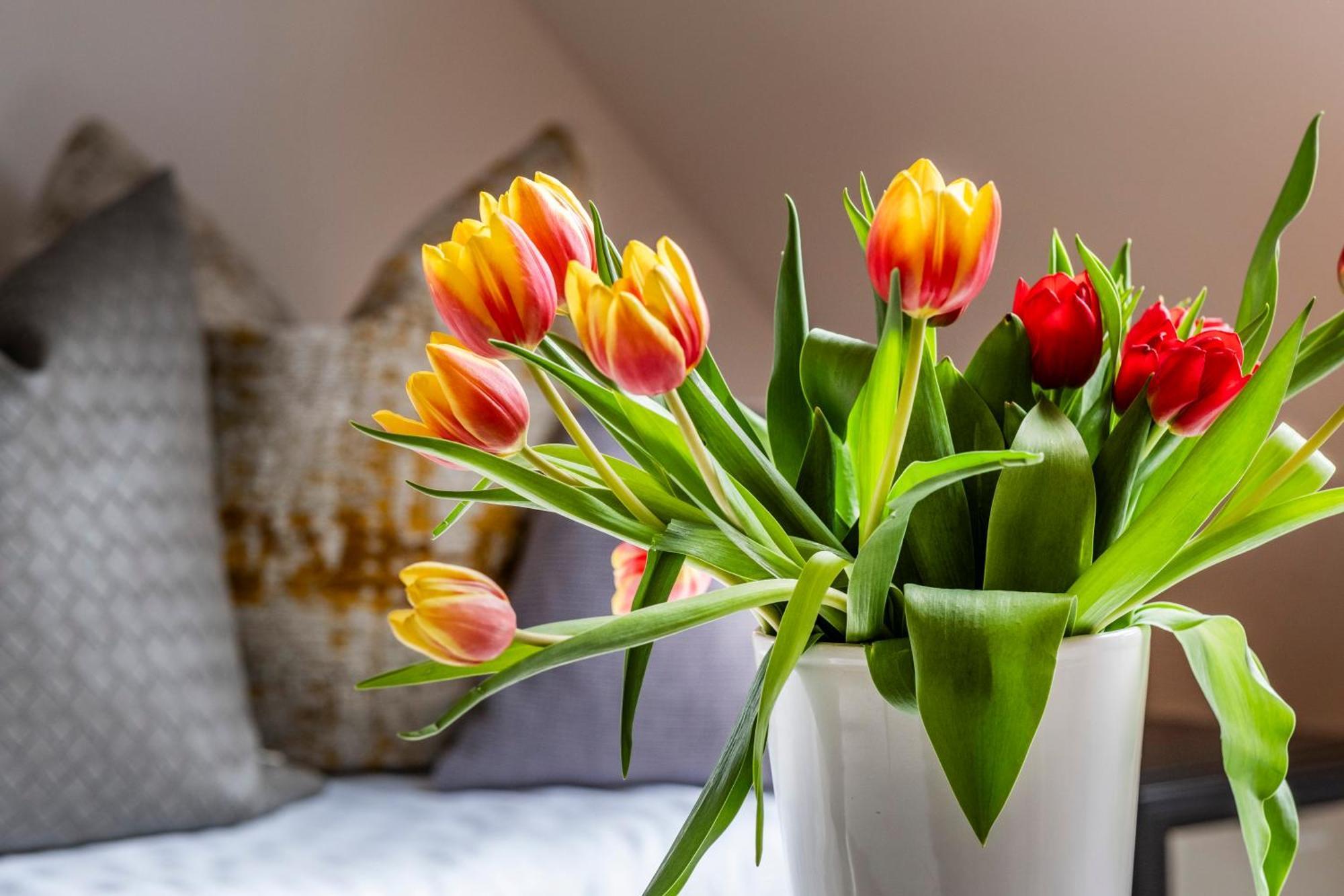 Seehotel Lichtenberg Zewnętrze zdjęcie